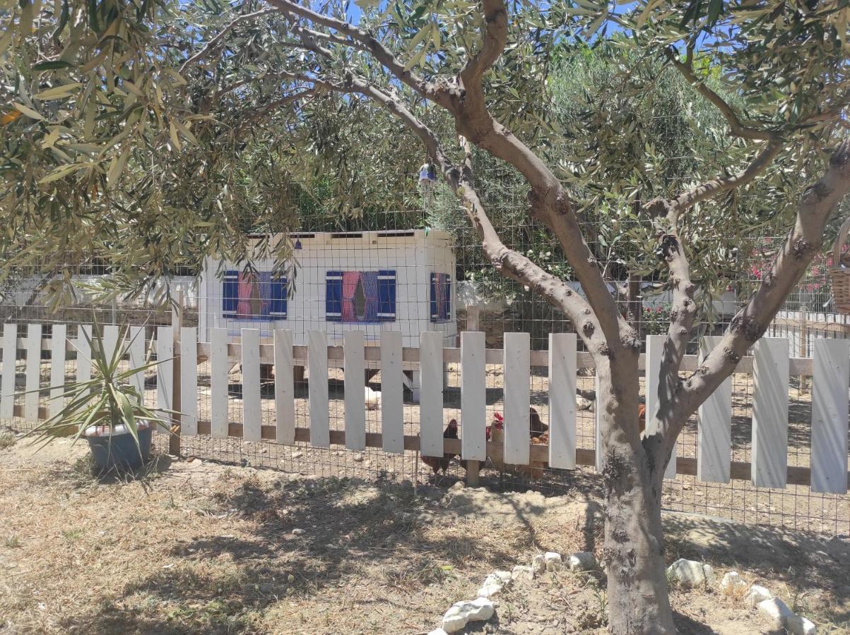 Villa Le Grand Bleu Katapola Exterior photo